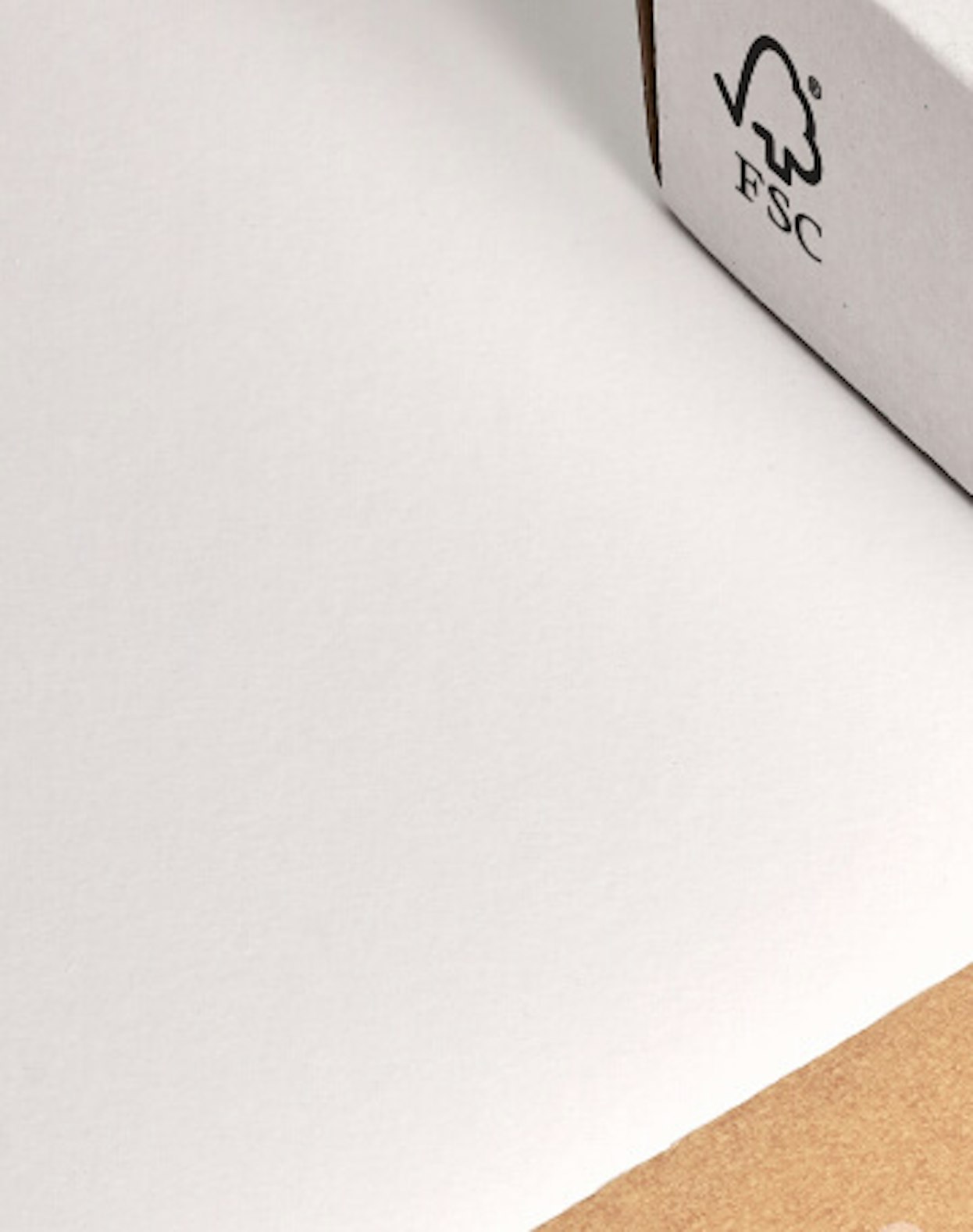 Diventa più trasparente con la certificazione FSC | Packhelp