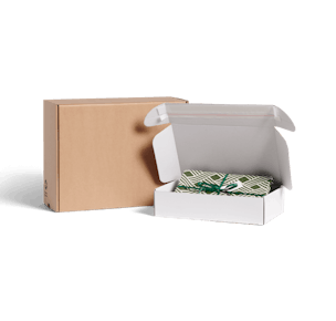 Plain Delivery Box
