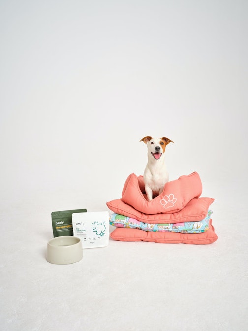 Birchbox for hot sale dogs